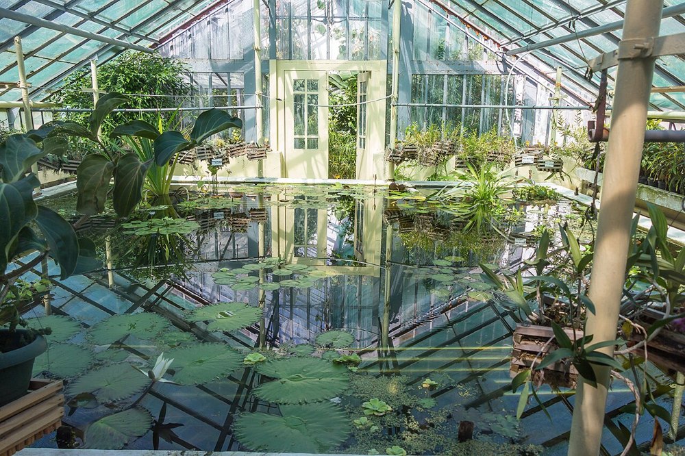 Glasshouse and water lilies at the Alexandru Borza Botanical Garden, Cluj-Napoca.
