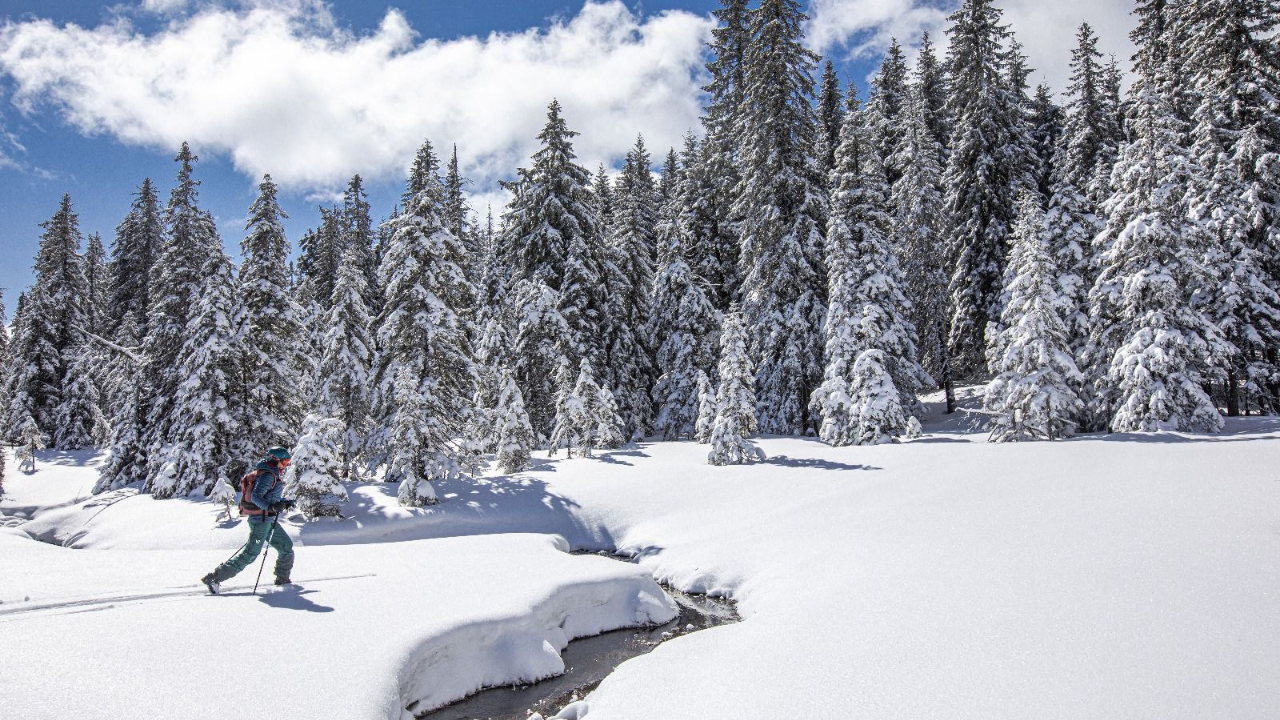 Harghita winter trails & skiing