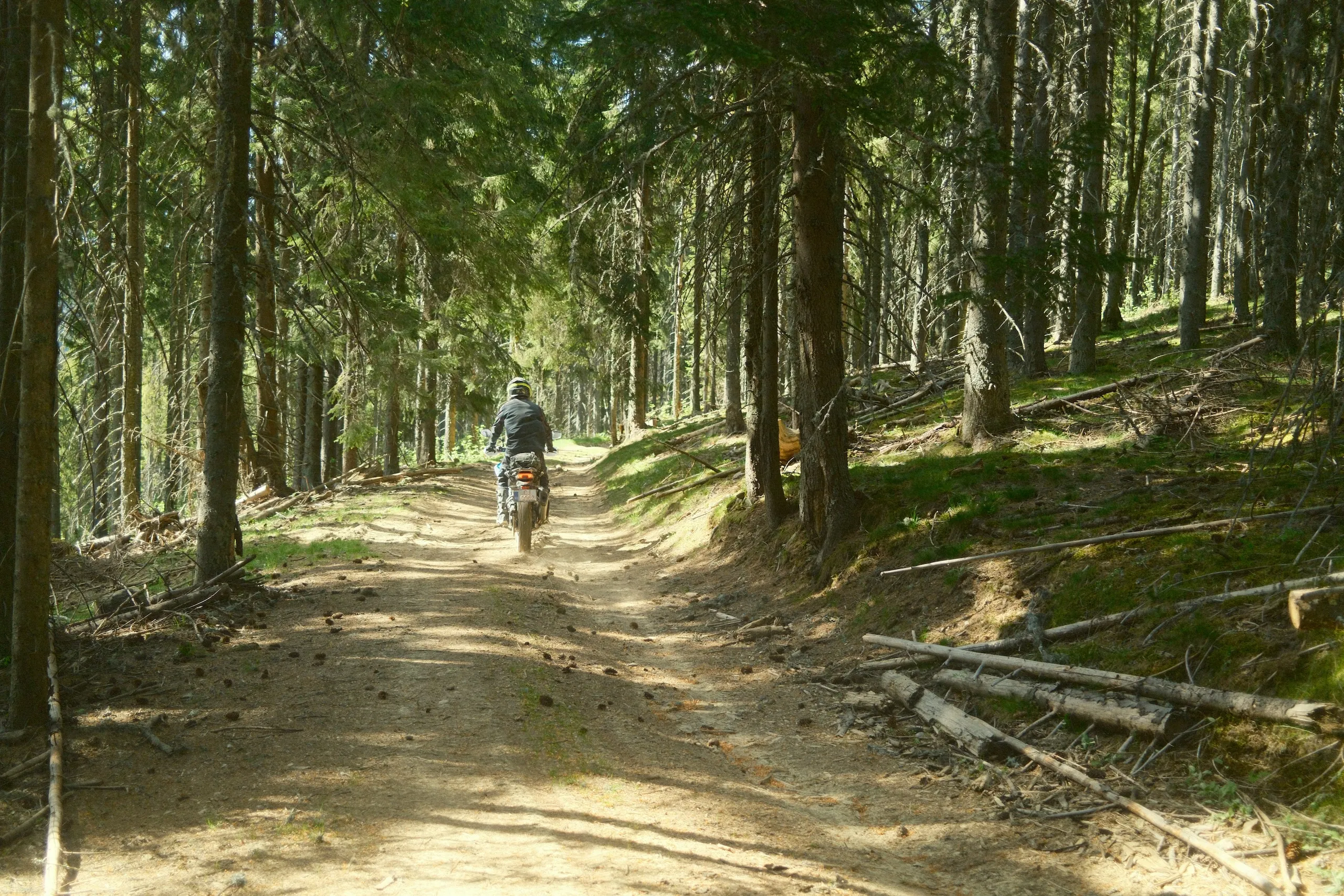 Outlandica motorcycle ride through an Apuseni forest