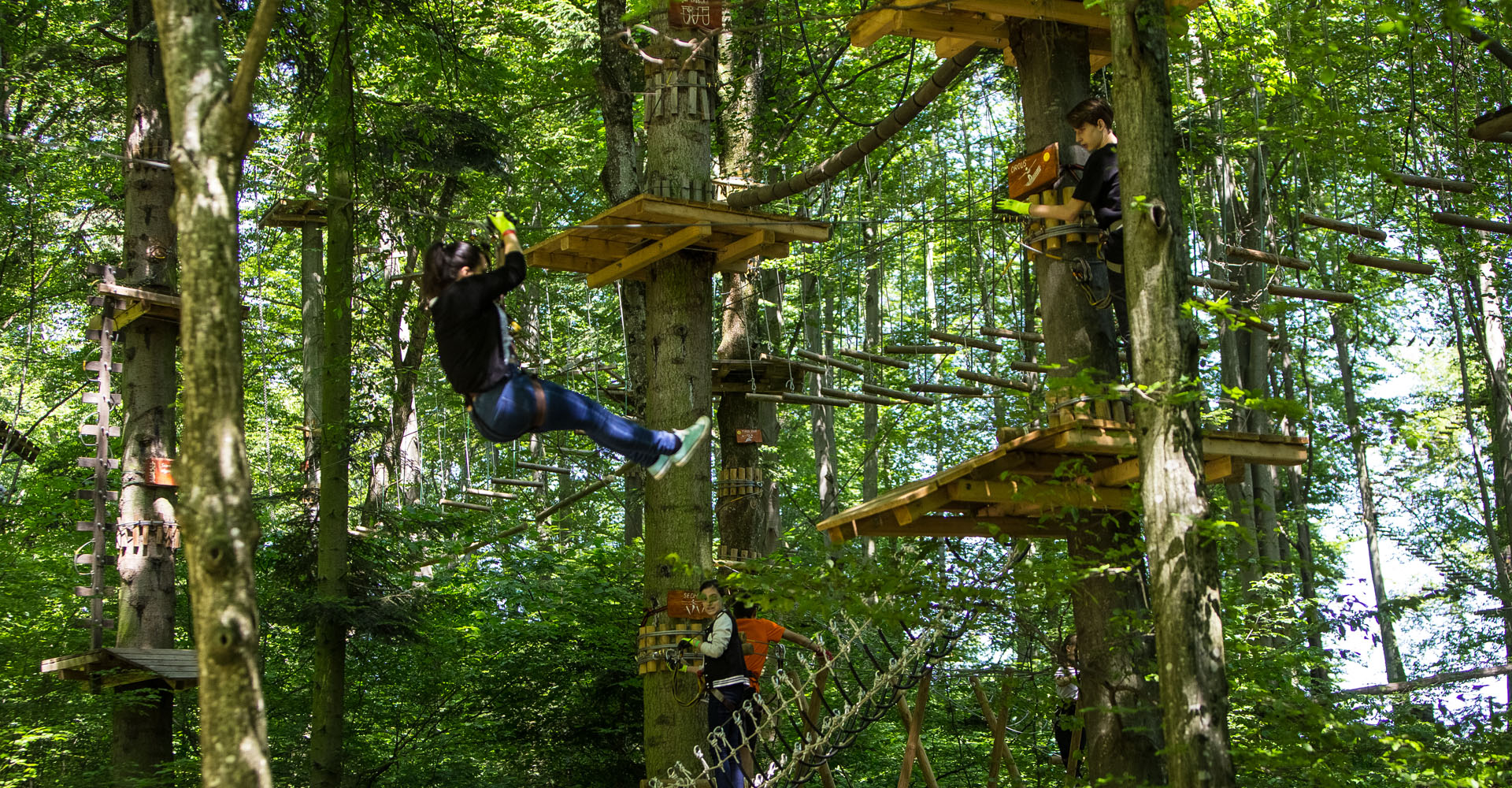 Parc Aventura · operator / source view 1