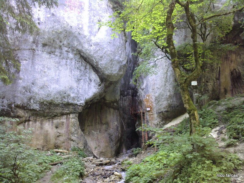 Canionul Şapte scări, Masivul Piatra Mare, Munţii Baiului.